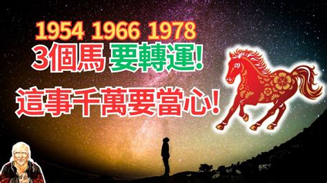 1966年生肖2023運程|【1966 年生肖】1966年出生生肖運勢解析！屬馬人的。